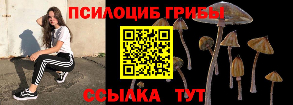 Карпинск  Псилоцибиновые грибы мицелий  Галлюциногенные грибы MAGIC MUSHROOMS  Вход с VPN 
